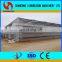 Commercial Multi Span Plastic Film Tunnel Greenhouse