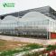 Multi Span PE Plastic Film Hydroponic Systems Greenhouse Agricultural