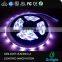 WS2812 WS2812B WS2801 Color changing led christmas lights color changing led rope light lpd8806