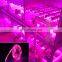5M/roll grow led light strips Red and Blue 3:1 waterproof IP IP65 led plant grow light strip
