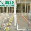 Automatic poultry watering system for chickens