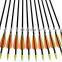 12 Pack Mix Carbon 30/31 Inch Hunting bow and arrow  archery100 Grain Points for Targeting Compound/Recurve/Long Bow arrow arrow