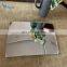 R220 R300 R400 Deep Radius Convex Mirror for Truck Rear View Mirror