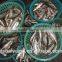 China Exporter Frozen Sardinella lemuru fish