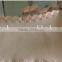 jiazhao brand special bra lace machine from kenya hot sale product