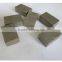 2500mm Diamond segments for granite