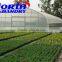 plastic roof greenhouses agricultural used greenhouse frames/equipment for sale