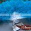 21 Piece Turkey Marabou And Peacock Feather Fan For Party Supplies