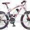 EN15194 lithium battery mountain e-bike /electric bicycle with Bafang mid/center motor kit 250W/ YQ-M2608A                        
                                                Quality Choice