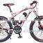 EN15194 lithium battery mountain e-bike /electric bicycle with Bafang mid/center motor kit 250W/ YQ-M2608A                        
                                                Quality Choice