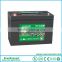 Industry leading Promotion price EverExceed High Rate range 12v 100ah UPS lead acid battery