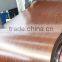 Color coated steel coil