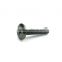 Wholsale manufacturer pan phillips slot head copper machine screw with nut
