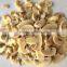 Canned Mushroom PNS