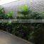 Shop Decor Artificial Plant Landscaping Projects