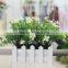Cheap Artificial Potted Small Flower Plant Daffodil in White Wood Planter for Sell