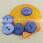 blue 2 hole rivershell button