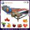 Small manufacturing machines for vegetable fruit cleaner /washing machine
