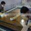 China production 201 304 430 PVD color Stainless Steel Sheet for elevator