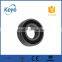 20 years experience gold supplier chrome steel 6204 2rs bearing