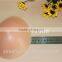 Free shipping!silicone breast forms for women mastectomy prosthesis artificial breast breast pad 400g/piece