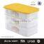 Plastic Material and Storage Boxes & Bins Type Dry ice container