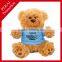 OEM designs high quality SGS tested Plush toys