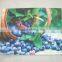 33x45cm fruit style placemat photo printing placemat customed placemat