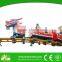 Theme Park Games For Sale Children Ride Mini Roller Coaster Dragon