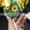 2016 For 3D Curve electroplated Tempered glass Samsung galaxy s7 edge screen protector / Samsung galaxy S7 edge Tempered glass
