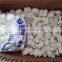 Wholesale High Quality PPR Plastic Pipe Fittings Equal Elbow