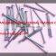 CHINA F.Q. BRAND CHEAPER PRICE SUPPLY IRON NAIL