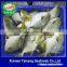 Wholesale Seafood Frozen Golden Pompano/golden Pomfret