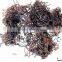 Best Price Best Quality Factory Dried Algae