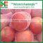 Fresh 100/113/125/138/150 red fuji apple in cold store
