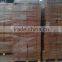 coco peat