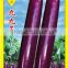 Beautiful And Nice Tasted Long Purple Eggplant Seeds For Growing