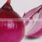 World Best Selling Wholesale of Red Onion Importers