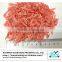 Fresh dried pink red shrimp