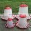 Robust 3Kg Poultry Feeder 3Ltr Drinker Chickens Quail Chicks Hens Bantam Water