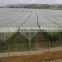 Fruit Trees Protection Net/ Vineyard Protection Net/ Plastic Anti-hail Net