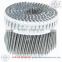 High Quality Pallet Coil Nails (ISO 9001 Manufacturer)