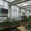 Easily Assembled Polycarbonate PC Sheet Greenhouse For Agriculture
