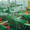 Food machinery manufacturer green pea frozen production line