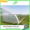 Agricultural Single Span Greenhouses