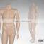 2015 stand headless mannequin human body model
