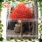 Guangzhou supplier artificial maple tree life size fake tree artificial maple tree