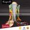 Elegant Digital Printed Silk Scarf for Ladies in Spring and Autumn