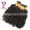 companies looking for distributors french style salon popular unprocessed wholesale virgin malaysian hair