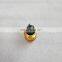 Genuine 6CT 6L8.9 Engine Coolant Water Temperature Switch Sensor 3979176